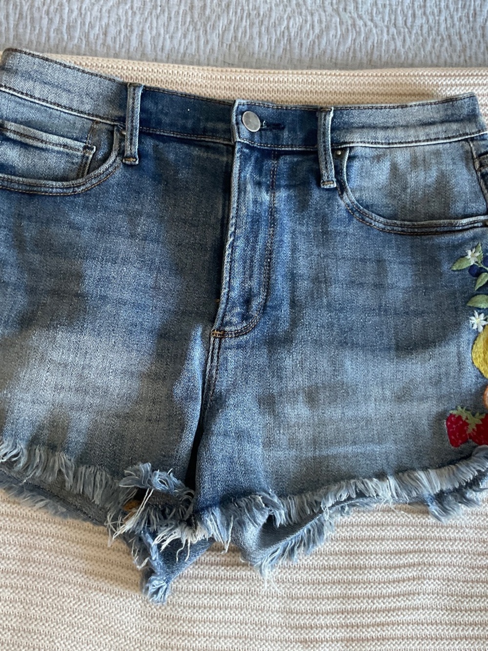 Aqua Denim Embroidered Shorts Size 29